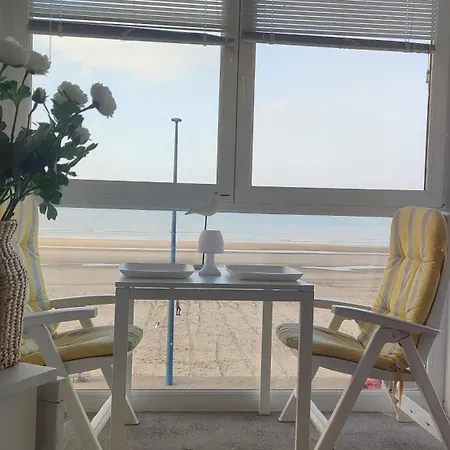 Vue Panoramique Face Bray-Dunes